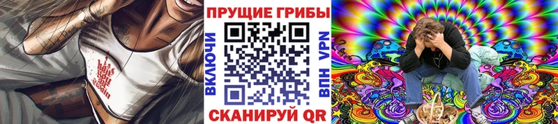 где можно купить наркотик  Микунь  Галлюциногенные грибы GOLDEN TEACHER 